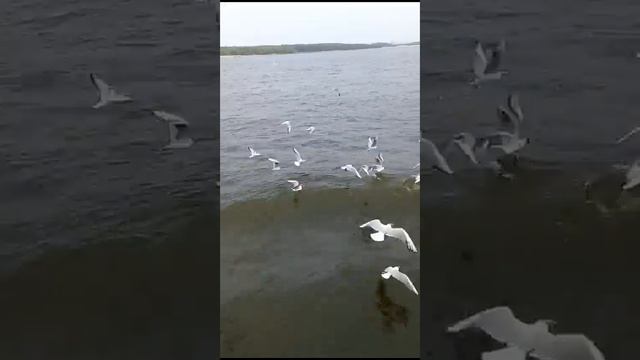 14 октября 2023 г.(2) смотреть онлайн