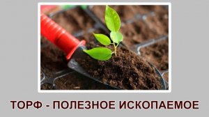 "Торф - полезное ископаемое" (4 класс, окружающий мир)