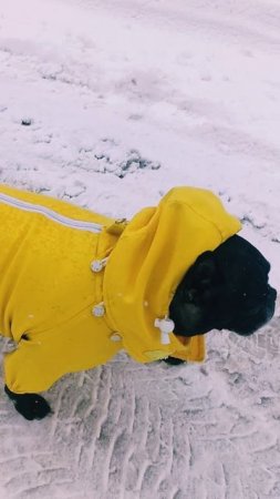 Моя Соняшка 😍