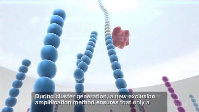 Patterned Flow Cell Technology: Subtitled | Illumina Video