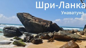 Шри-ланка. Унаватуна. Как там было нам. Отель Araliya Beach Resort & Spa