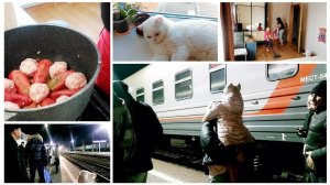 206 ДОЧЬ ВЕРНУЛАСЬ ИЗ КАЗАХСТАНА. МНОГО ДОМАШНИХ ДЕЛ. БЫЛА НЕ МНОГО В ШОКЕ. ВСТРЕТИЛА АЛЁНКУ