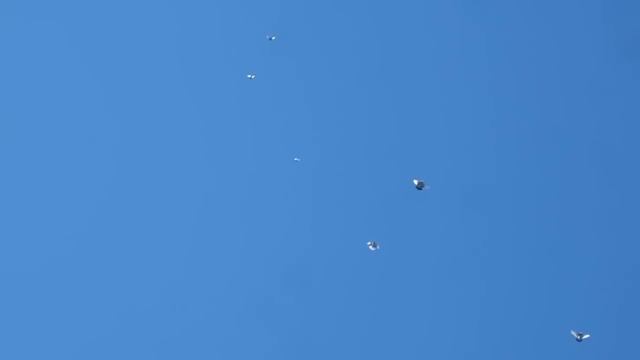 MVI 0112 смотреть онлайн