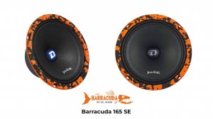 Обзор и прослушивание DL Audio Baracuda 165 SE