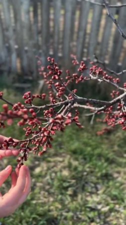 красота в мелочах, главное- разглядеть ее