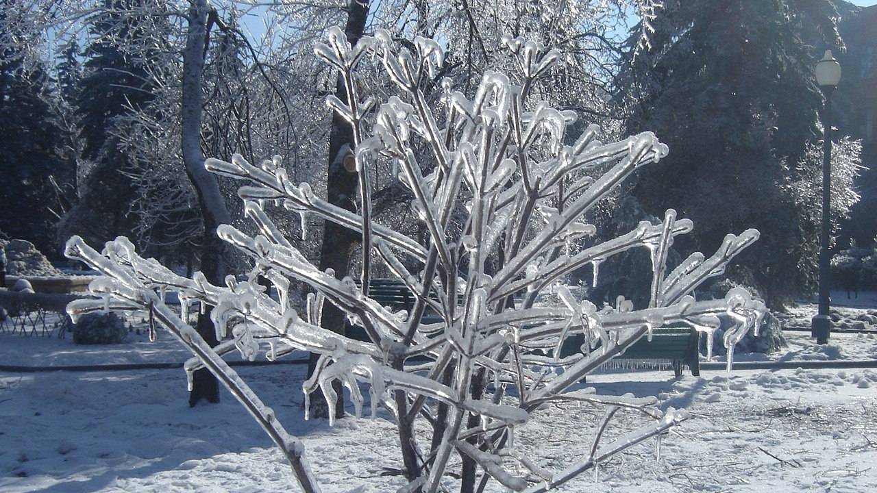 Режим повышенной готовности продлили на Ставрополье в связи с ожиданием морозов и снега