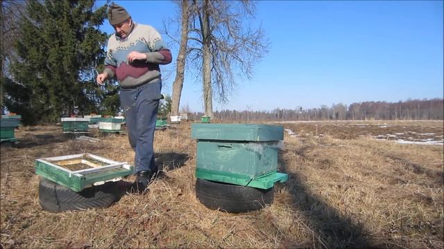 Вынос пчёл из погреба и смена доньев. Латвия. Лиепупе. смотреть онлайн