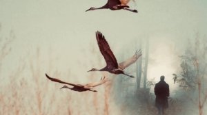 Стихотворение Олега Вешкурцева «Журавли»