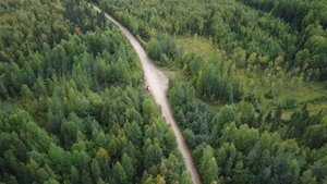 Круговой облет машины в лесу_сентябрь_0052