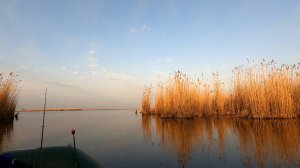 Скоро в новом ролике,ВЕЗДЕ ЗАПРЕТ,А ЗДЕСЬ ЕГО НЕТ,рыбалка на щуку по путёвкам с лодок,будет 2 части
