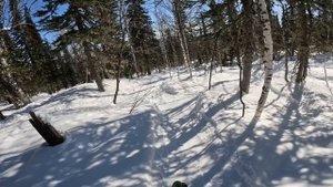 Шерегеш 7. 2025