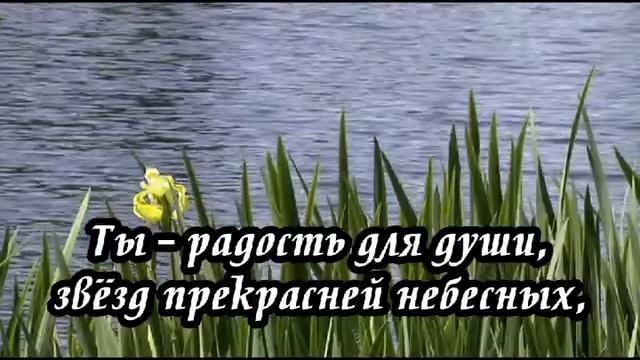 Ксения Лапицкая - Ты напоил меня (Источник благодати)