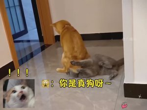 Китайский юмор № 7