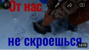 ЛОВЛЯ ЩУКИ.ОТКУСИЛА ЛЕСКУ, НО МЫ ЕЕ ГОЛЫМИ РУКАМИ ВЗЯЛИ.