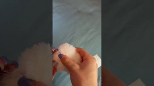 Инструкция по сборочке от BALORI для артикула: 340956333