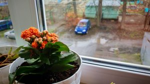 в деревне дождь, но я счастлив, люблю жизнь в деревне, деревенская жизнь, радость жить в деревне