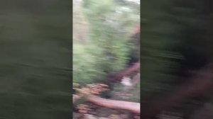 Обзор территории санатория "Юность" #анапа2025