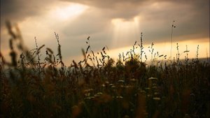 «Слаба пред памятью война.. слаба она пред нами!» сл. Лара Белл муз. Валерий Макаров