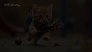 Tiny Cat’s First Day at School! _ #cat #kitten #cute #gingmeow