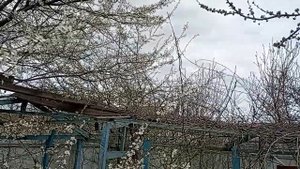 Текущий ПРОГНОЗ на 8 апреля, вторник 2025 эпохи Водолея, рождения 12й цивил-и,Кали-юги,5й К.расы