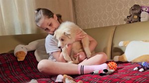 Девочке, переехавшей из ДНР в Подмосковье, вручили щенка в подарок от президента