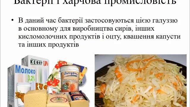 Бактерії смотреть онлайн