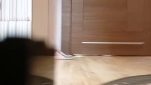 железная дорога из Лего