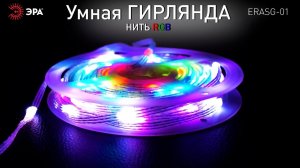 Светодиодная новогодняя гирлянда ЭРА ERASG -01 умная нить RGB 10 м управление через приложение