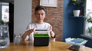 Как вырастить микрозелень подсолнечника даже без субстрата и какие семена подходят для выращивания