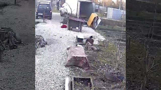 без слов