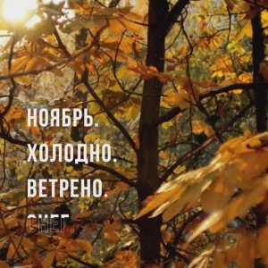 Ноябрь. Холодно. Ветрено. Снег.