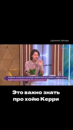Это важно знать про хойю Керри