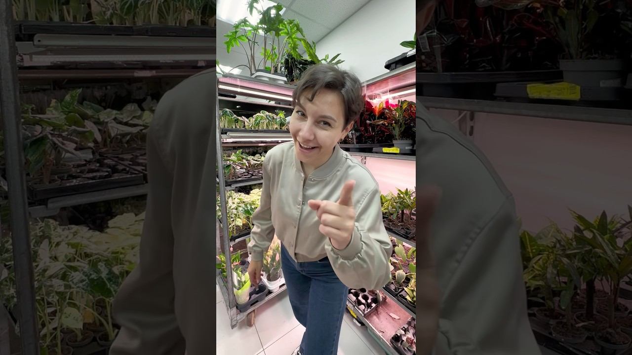 КОГДА ЗАВЕРТЕЛАСЬ НА РАБОТЕ