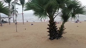 Тайланд . Pattaya Park Beach Resort . 2 день