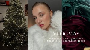 VLOGMAS. Мы во Владивостоке. Покупаю и украшаю ёлку. Новый дроп PAVE. Готовлю впервые оливье.