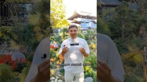 ТОП-7 взрывных причин для роста цен на недвижимость в Сочи