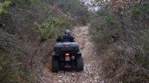 KingQuad trial