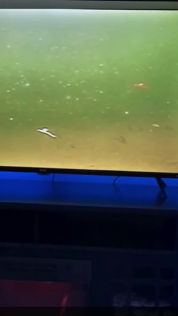 🎣 Зимняя рыбалка будущего