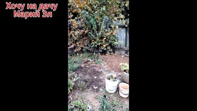 Вспомним как оно было. Алексей, пока я на работе. 29.10.21г.