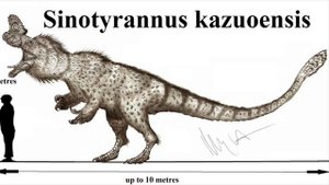 Sinotyrannus sounds