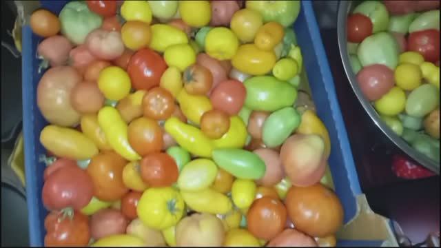 7-9.11.24г. Деревенские будни ☺️ вечера становятся длиннее и время на вязание больше смотреть онлайн