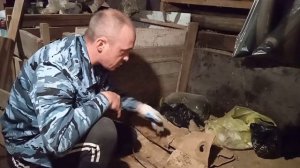 Ящик под картофель в подвале....