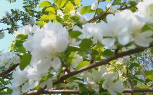 Видеопрезентация моего канала по вязанию спицами и крючком. Вязаный рай Натальи. Рукоделие