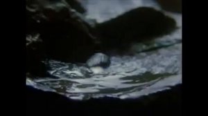 красота воды