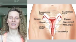 Как сузить вход во влагалище?