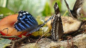 854865-uhd_3840_2160_25fps