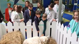 Старт нового поколения предпринимателей: специальный проект ТПП РФ «Надежды Бизнеса России»