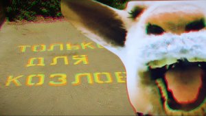 Забавная достопримечательность в старинном городе