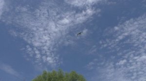 Дача Дорогавцевых и Боровск