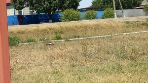 Посём хозяйство - у мутного отшельника !!! Рубрика - Фермерский Портал !!!